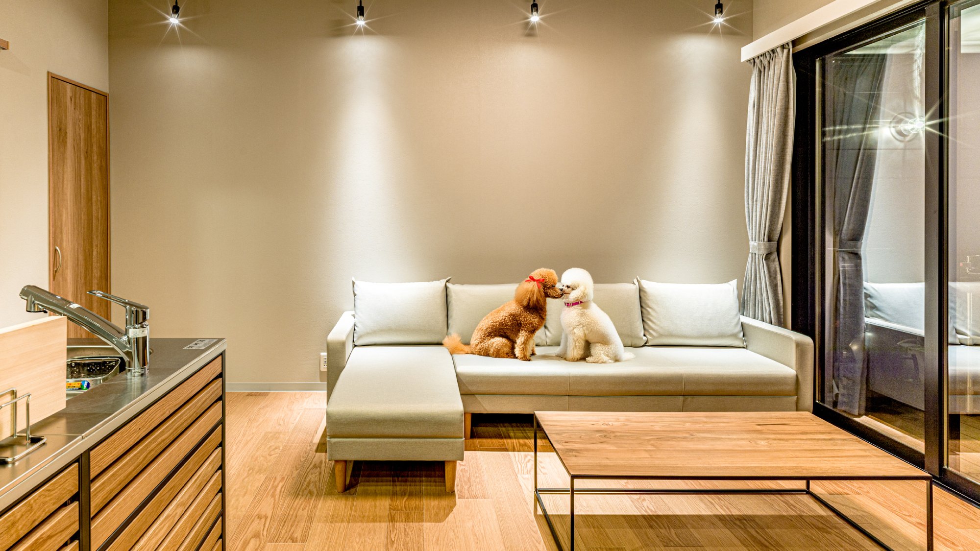 【ドッグフレンドリールーム】愛犬と一緒にご宿泊いただけます