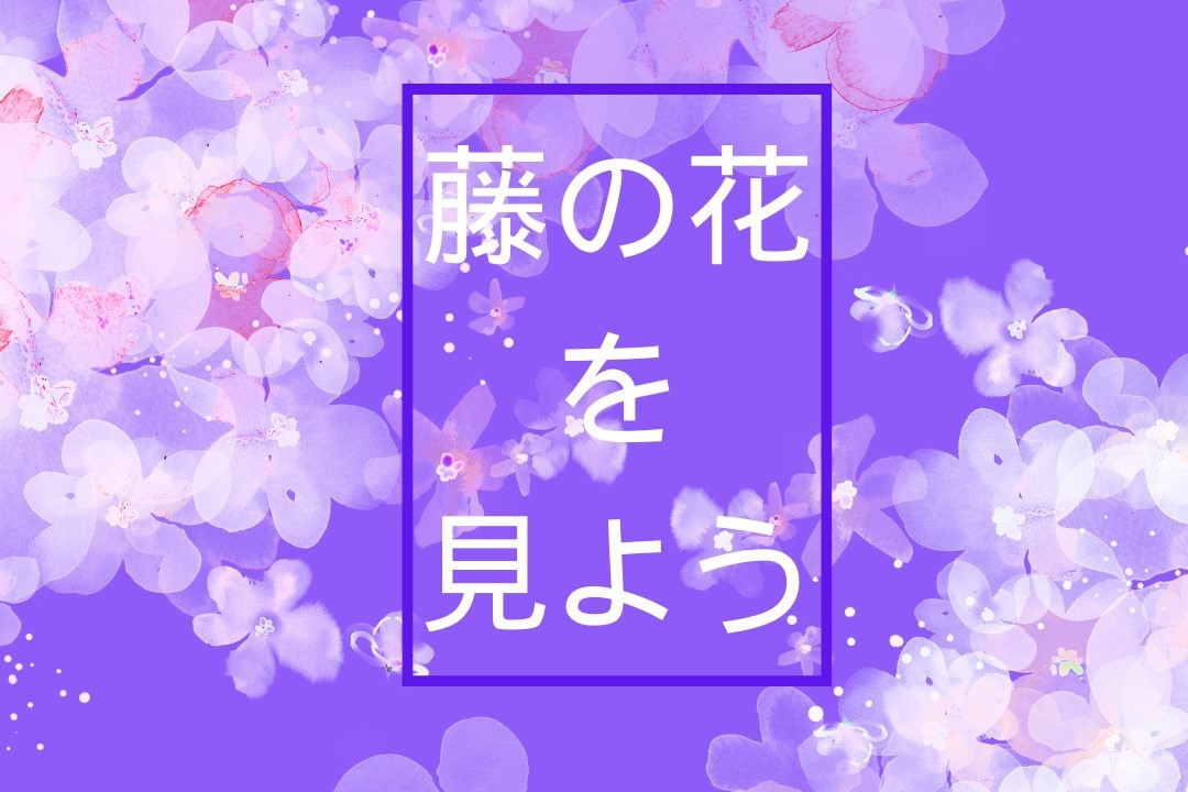 期間限定！幻想的で優美な藤の花を見てリラックス気分♪