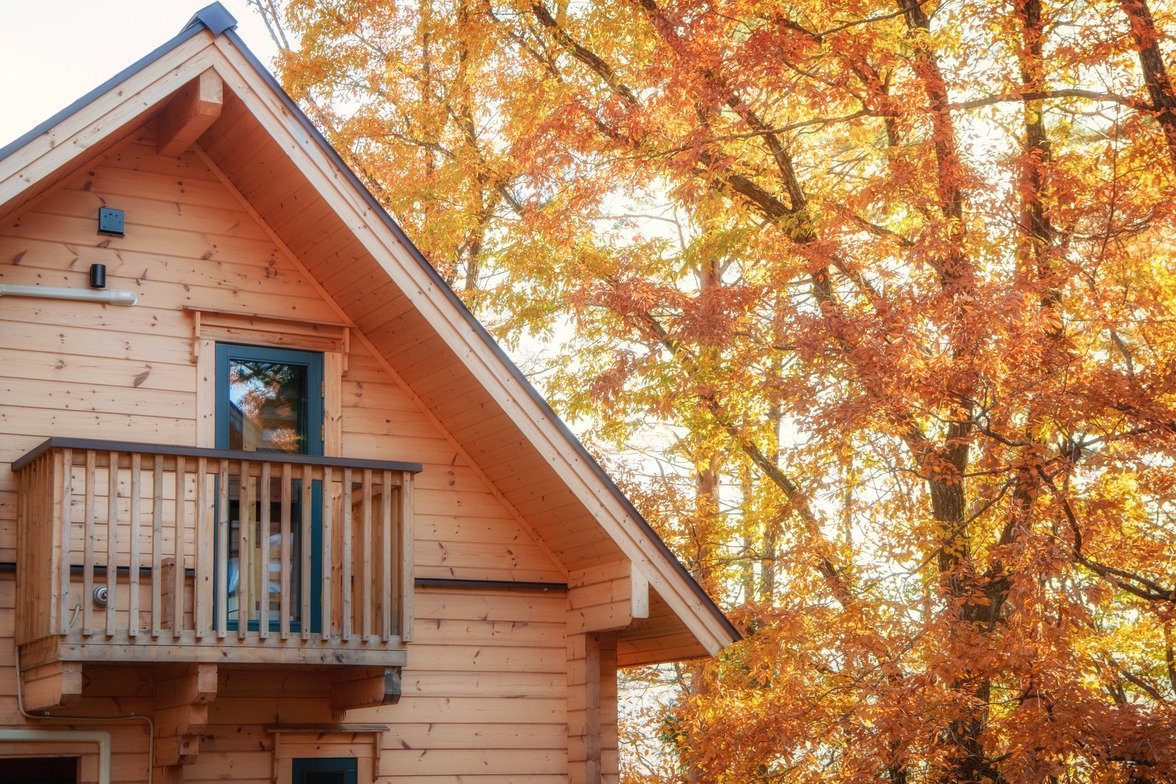 【秋の連泊30％OFF】人気の白馬・和田野エリア　プライベートログ調ハウス【素泊】