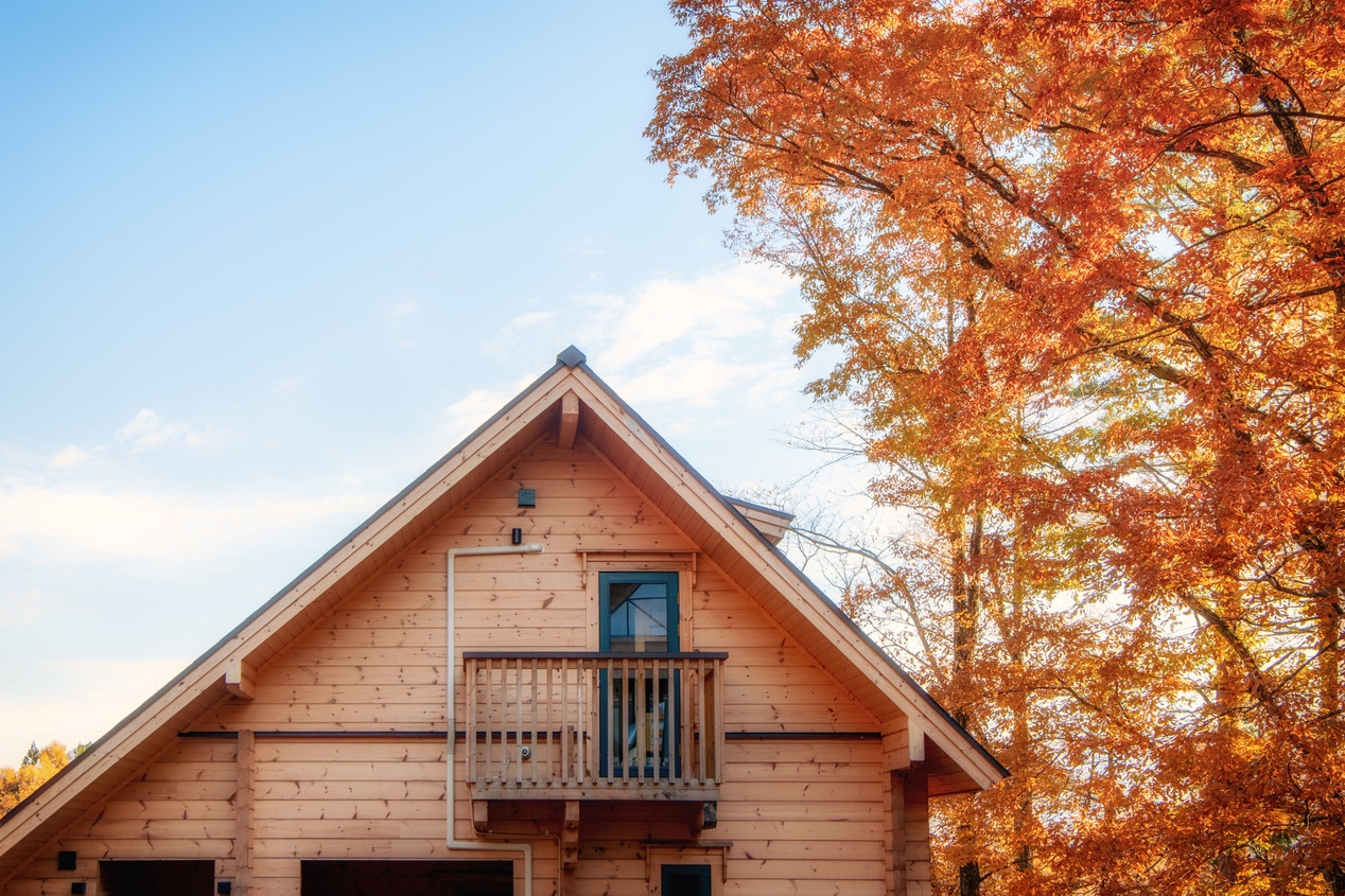 【秋の連泊30％OFF】人気の白馬・和田野エリア　プライベートログ調ハウス【素泊】