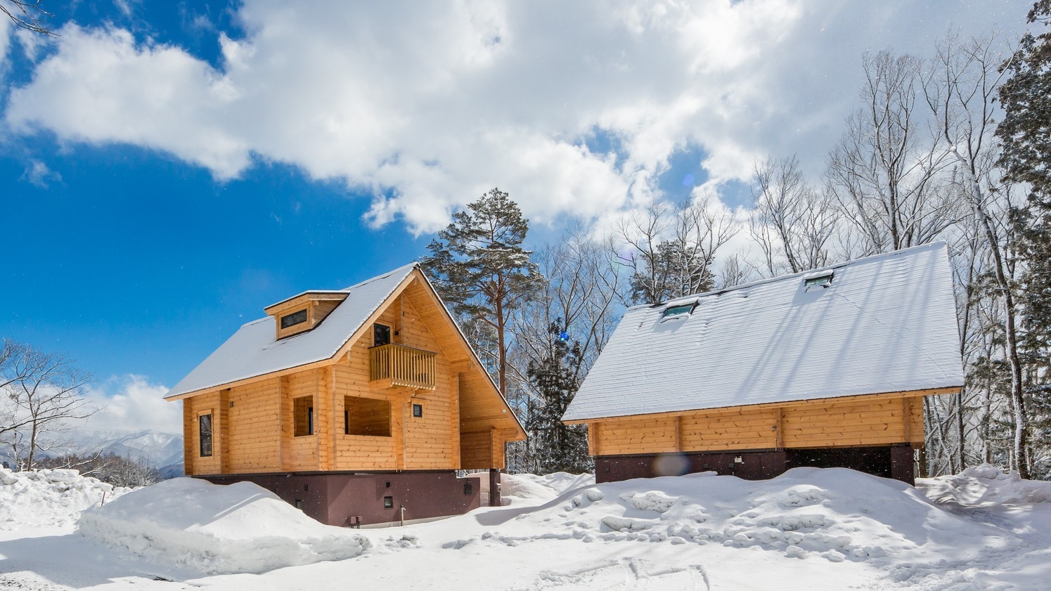 25/26 冬季【早割料金】ワダノウッズ　ログハウス貸別荘【素泊】