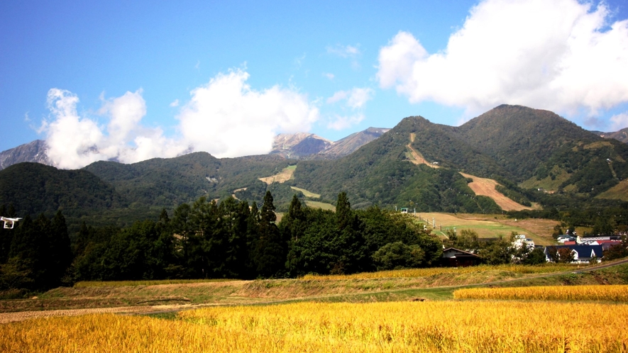 ☆周辺・景色_田んぼ