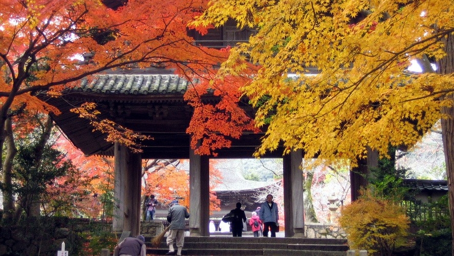 功山寺 山門 紅葉　長府（画像提供：下関市）