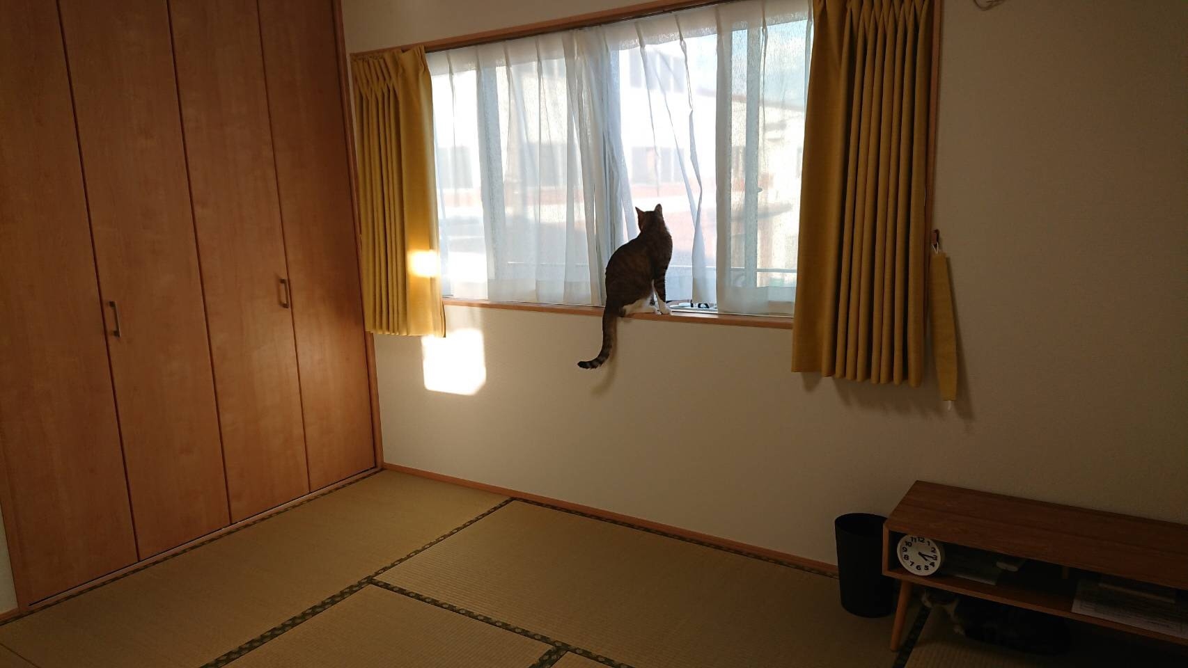 カード決済限定プラン