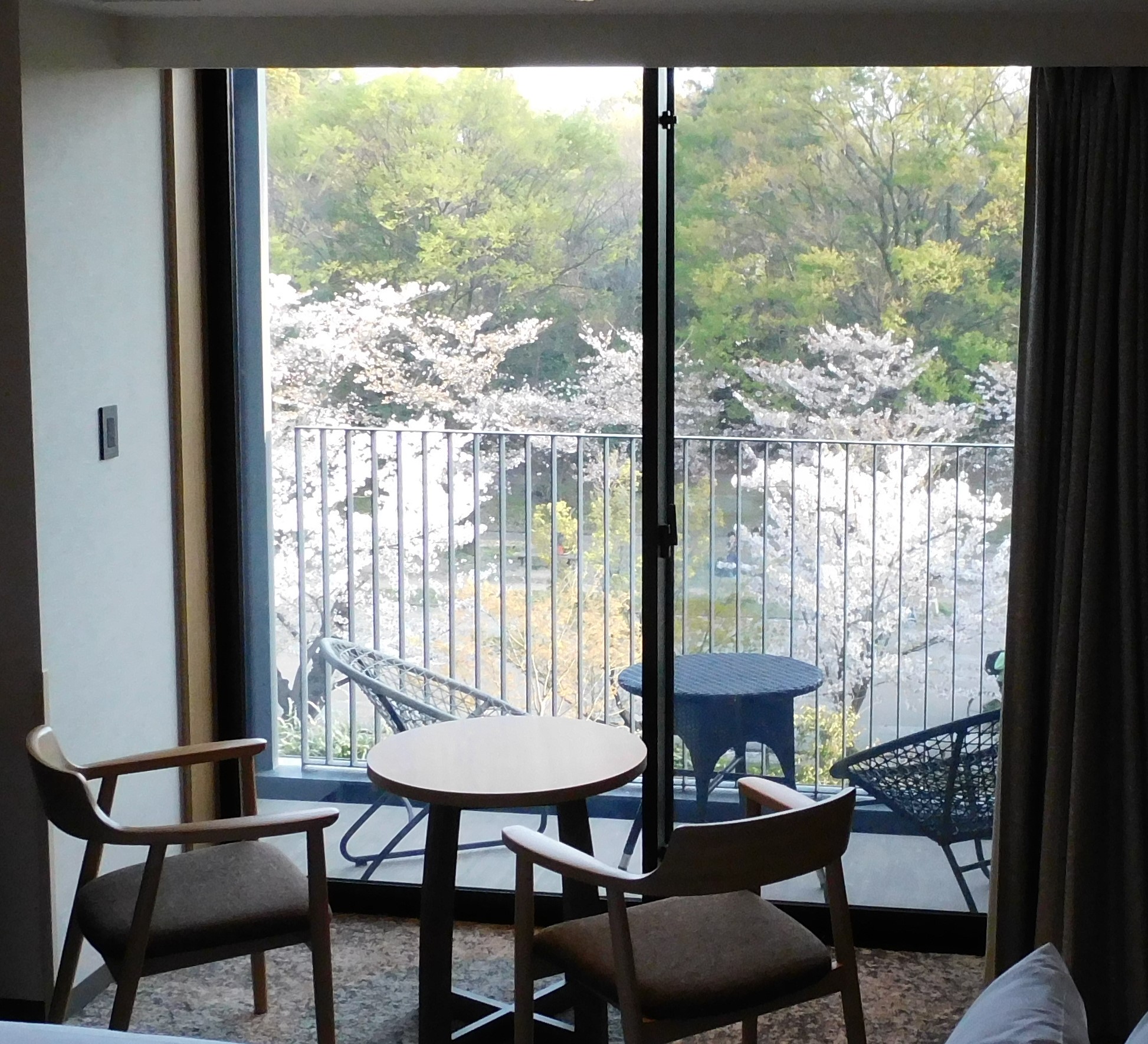 【ポテルとサクラ】