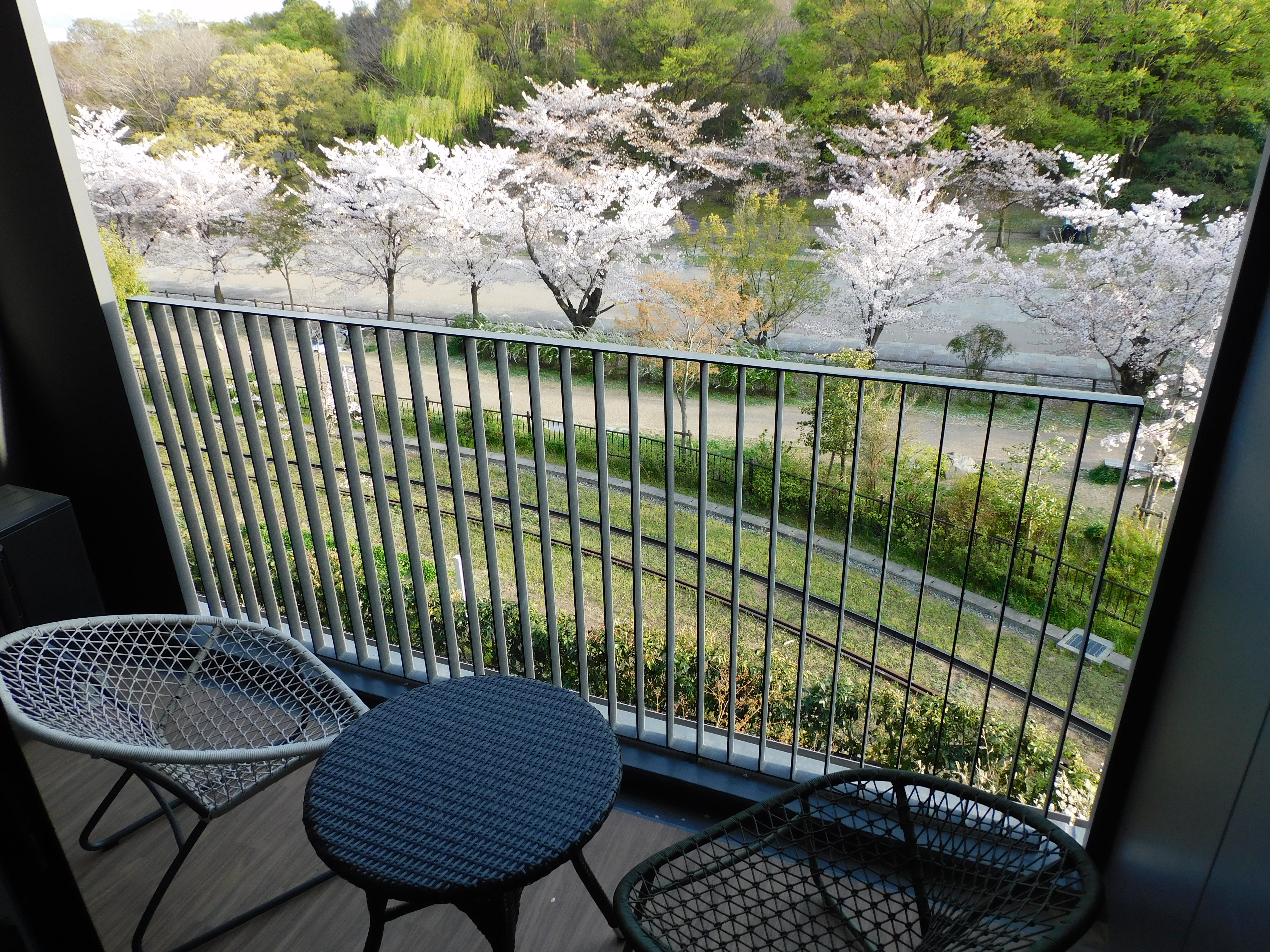 【ポテルとサクラ】