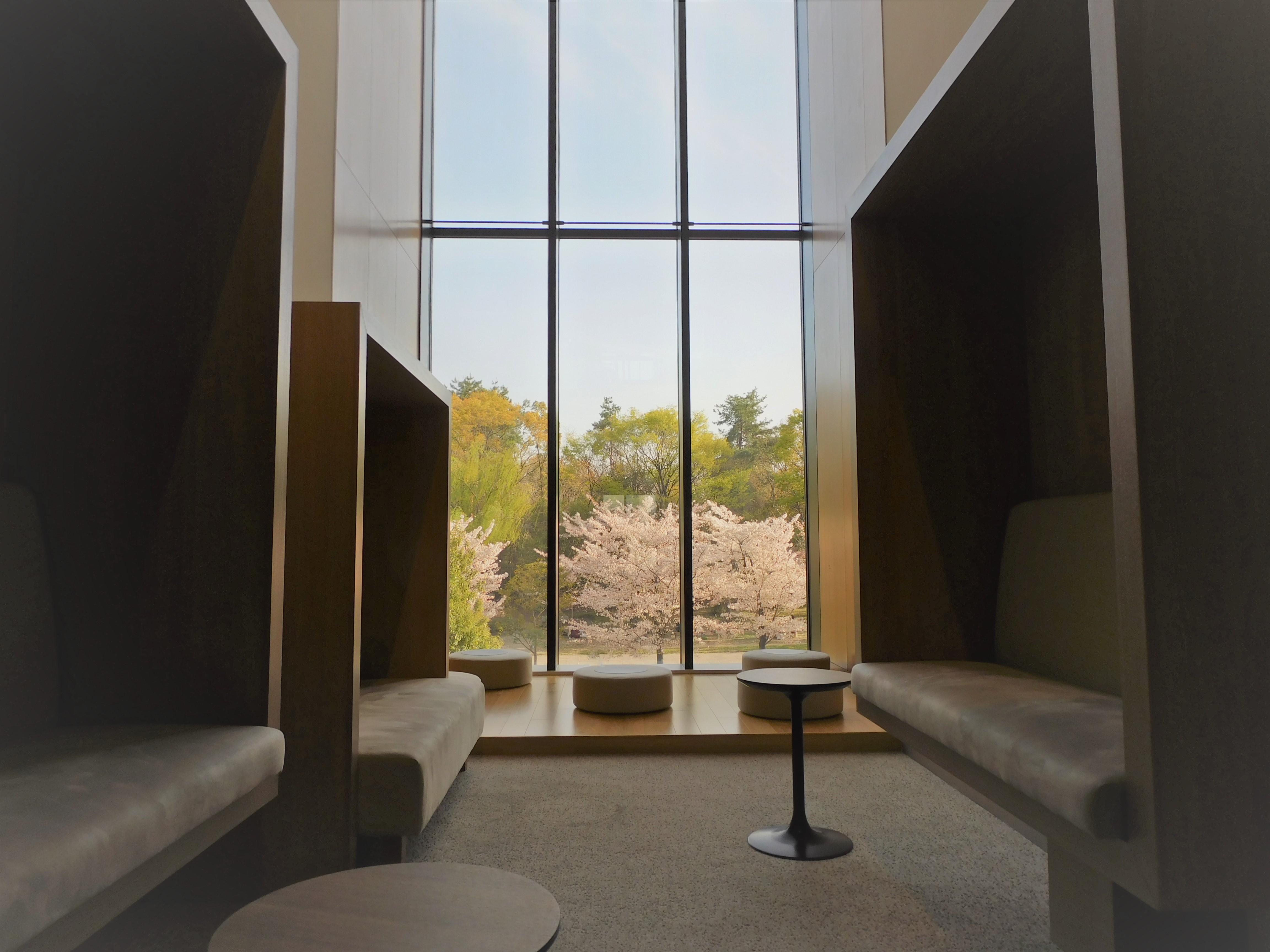 【ポテルとサクラ】