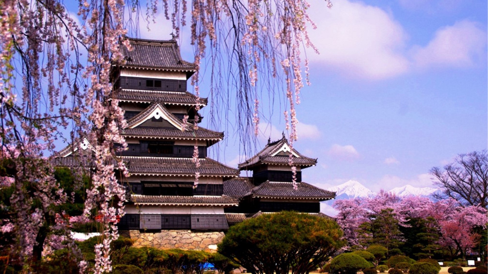 □【松本城　桜祭り】当館から、車で7分のところにあります。
