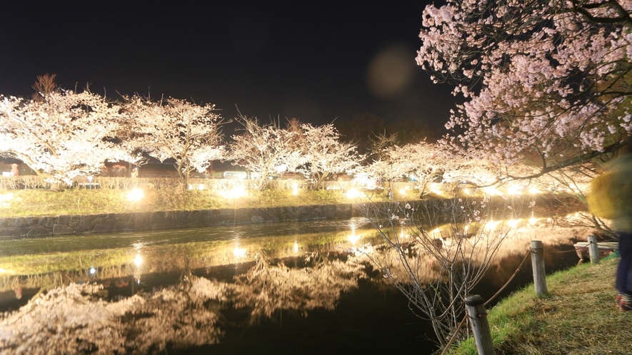 □【松本城　桜祭り】当館から、車で7分のところにあります。