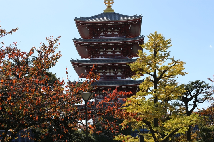 秋の東京の様子