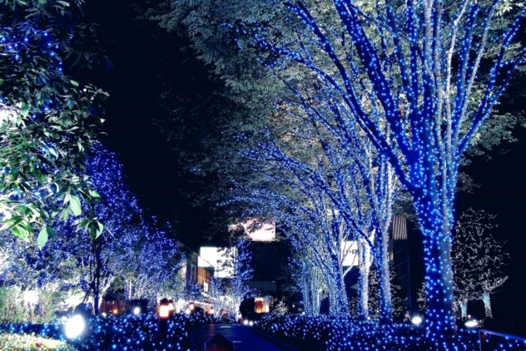 冬の東京の様子