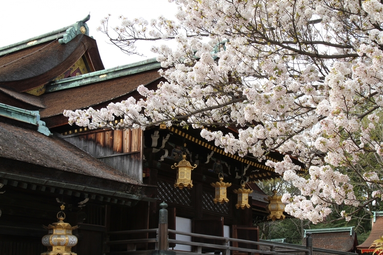 春の北野天満宮