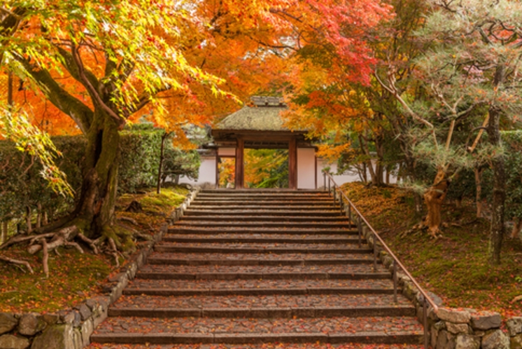 秋の京都