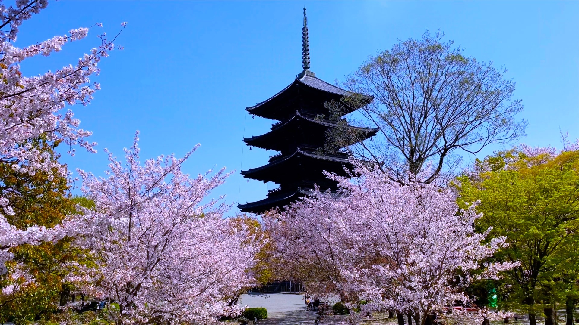 東寺