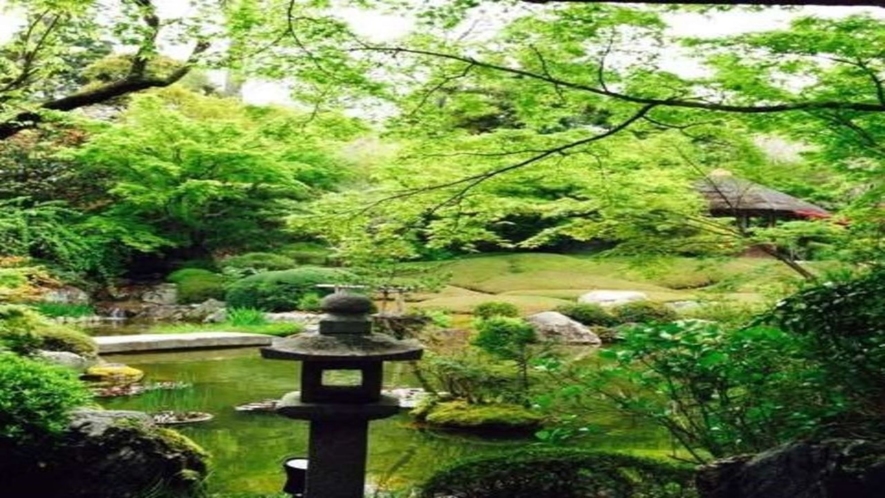 まるで一つの街のように広い境内に多くの寺院が建ち並ぶ妙心寺