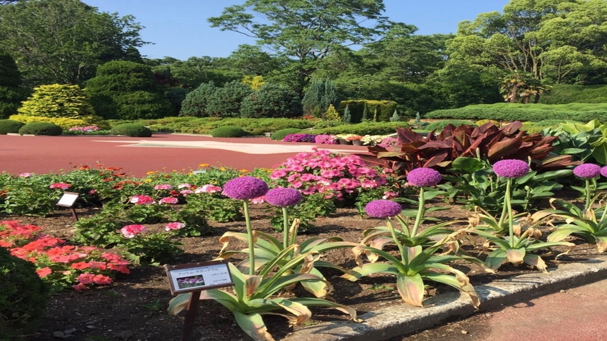 四季折々の植物をお楽しみいただける植物園(京都市営地下鉄北山駅より徒歩すぐ）