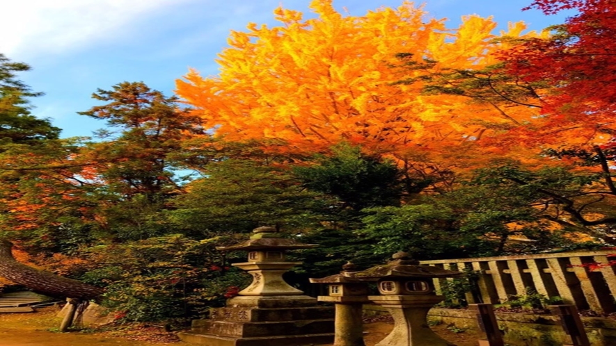 「学問の神さま」で有名な北野天満宮