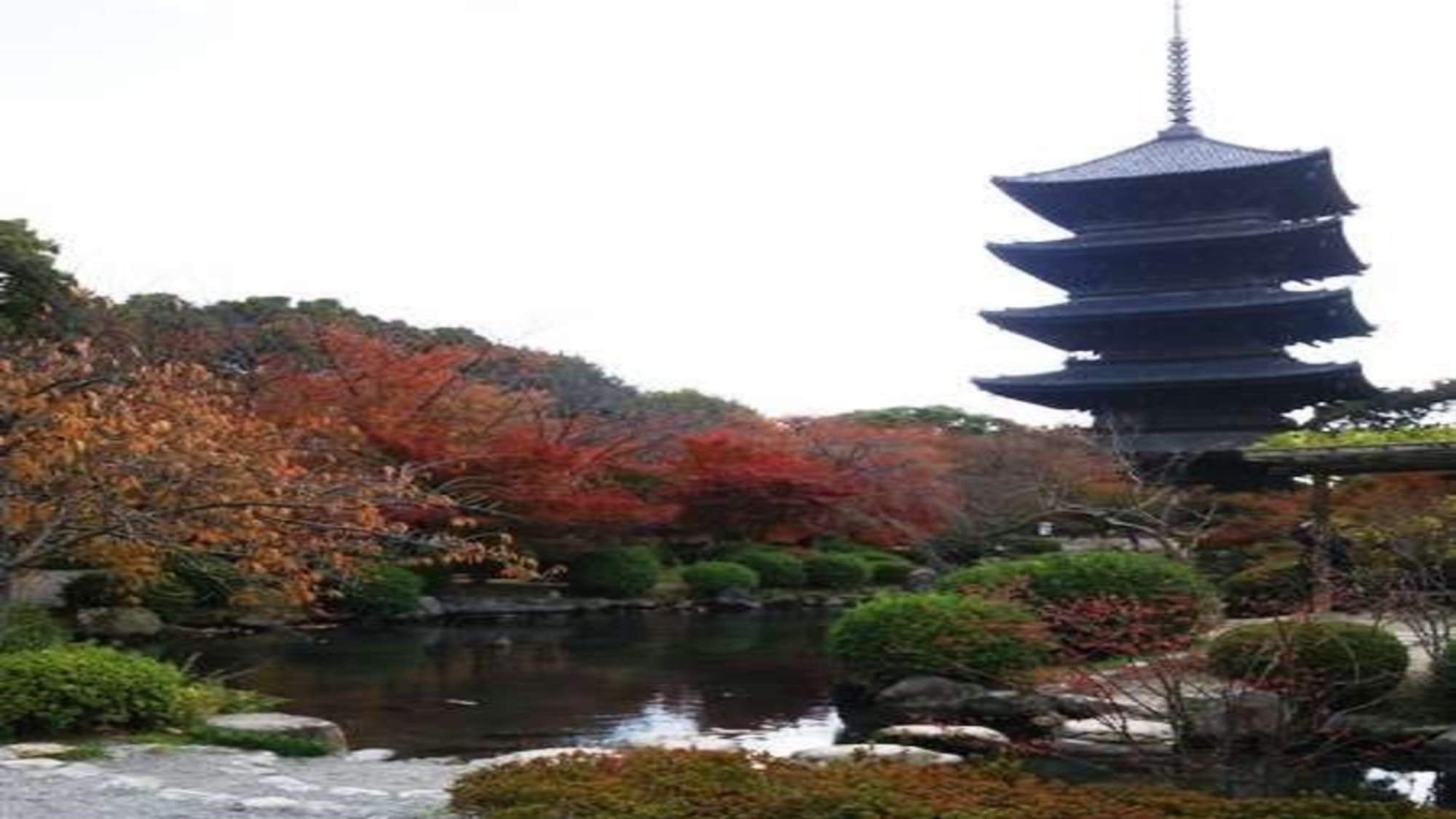 唯一残る平安京の遺構の東寺(紅葉)