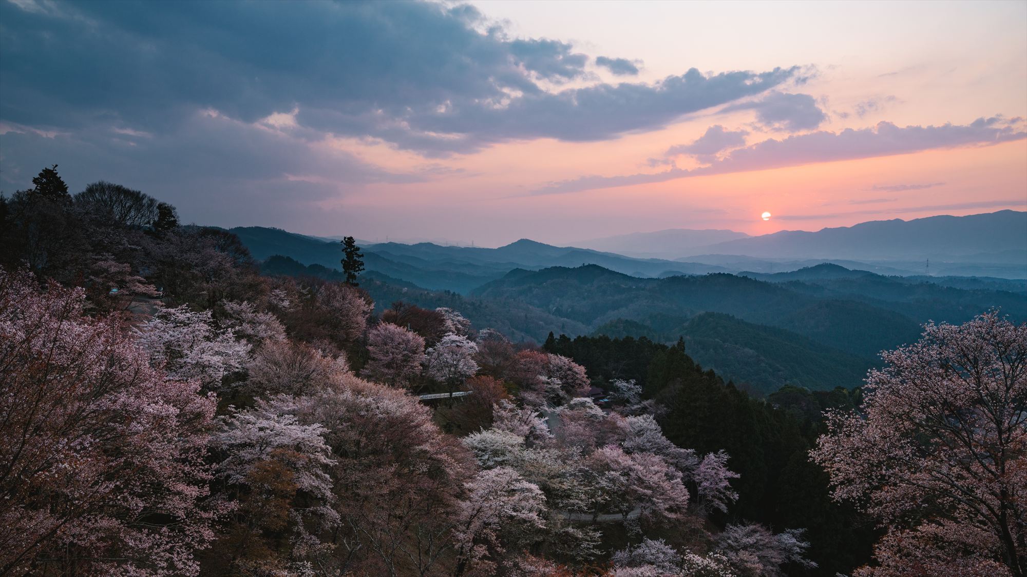 【吉野山（桜）】ホテルから車で1時間45分