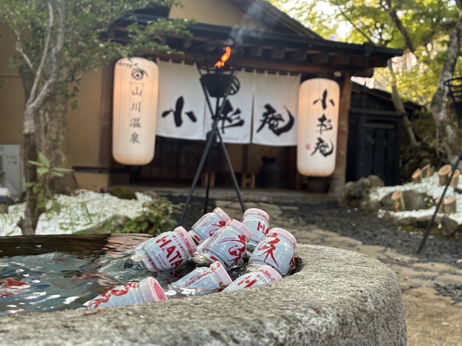 【本館】一泊二食付ナチュラルステイプラン