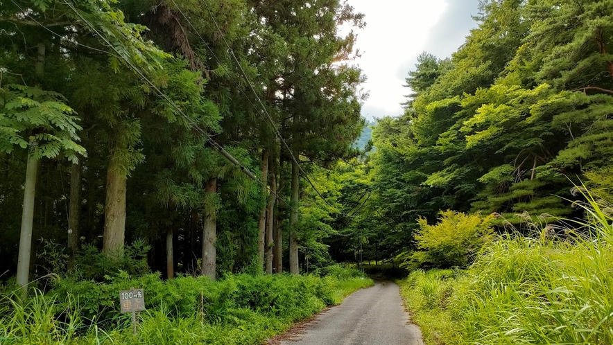 当館周辺は懐かしい日本の風景と雰囲気を味わえます。ご入浴前のお散歩がお勧めです