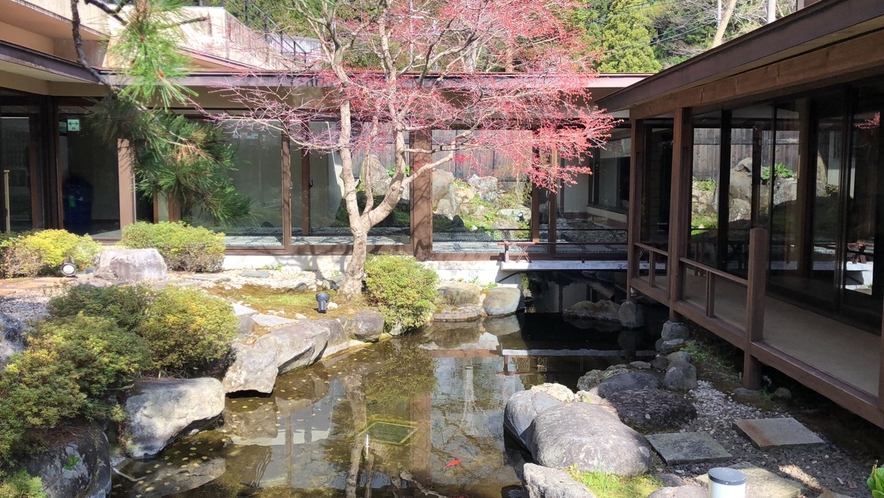 中庭の日本庭園
