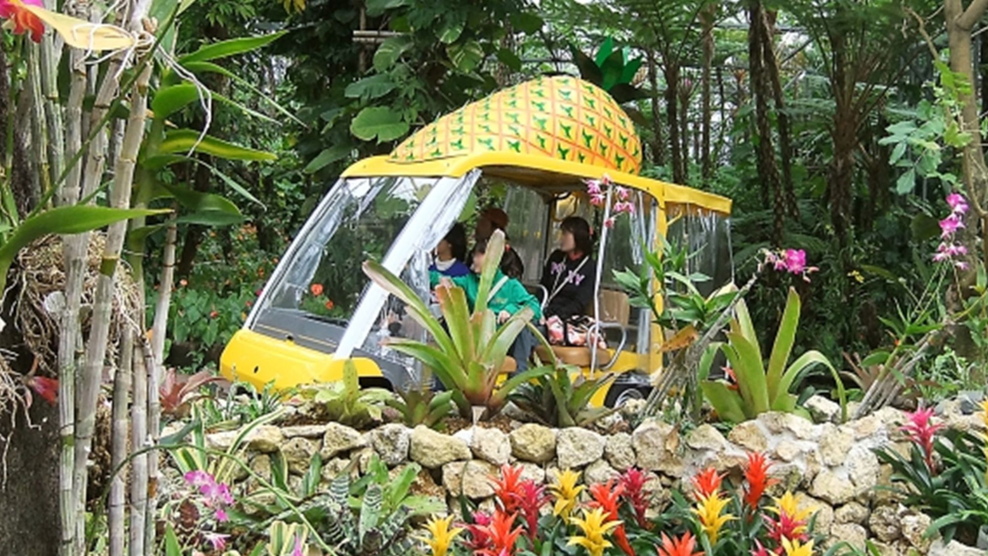 【名護パイナップルパーク】当施設から車で約22分