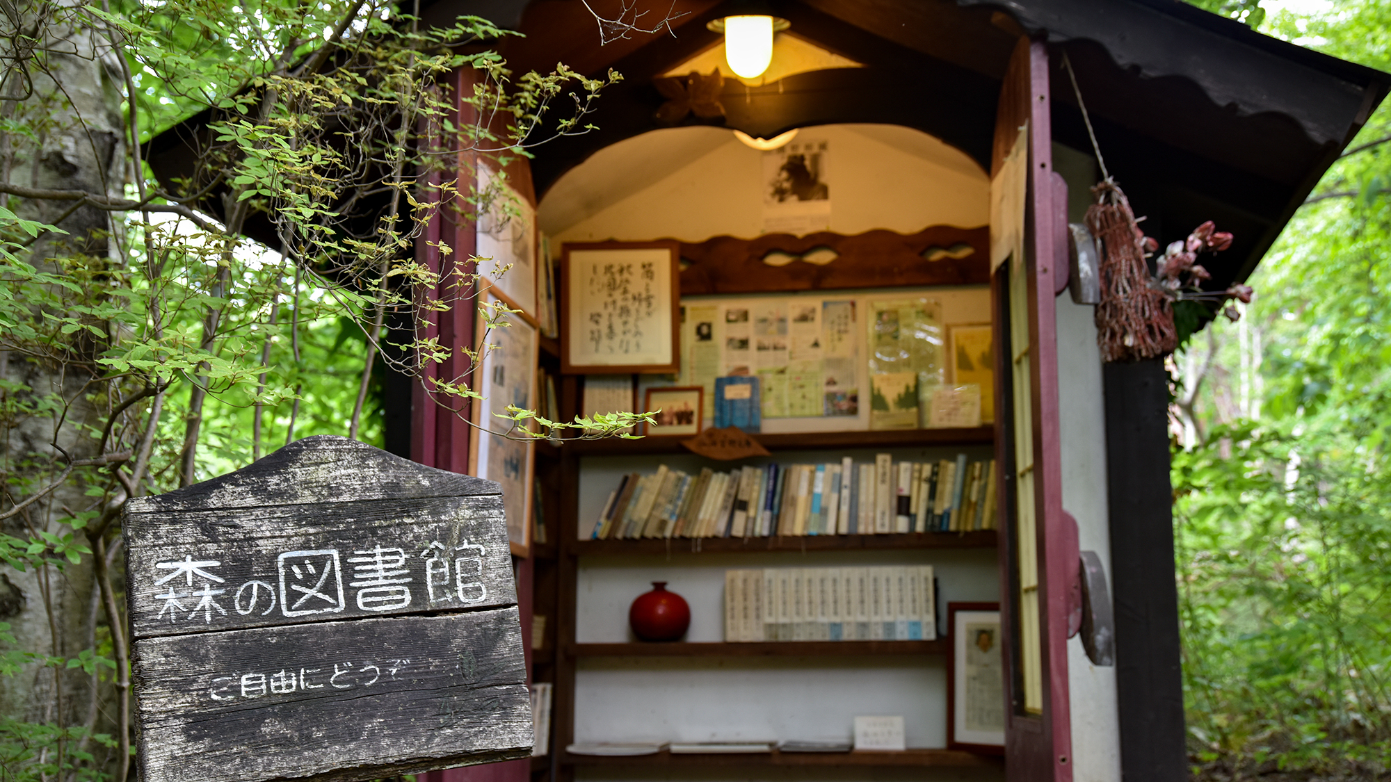 *施設一例／森の図書館。おひまなときはこちらの図書館で本を借りての読書はいかがですか？