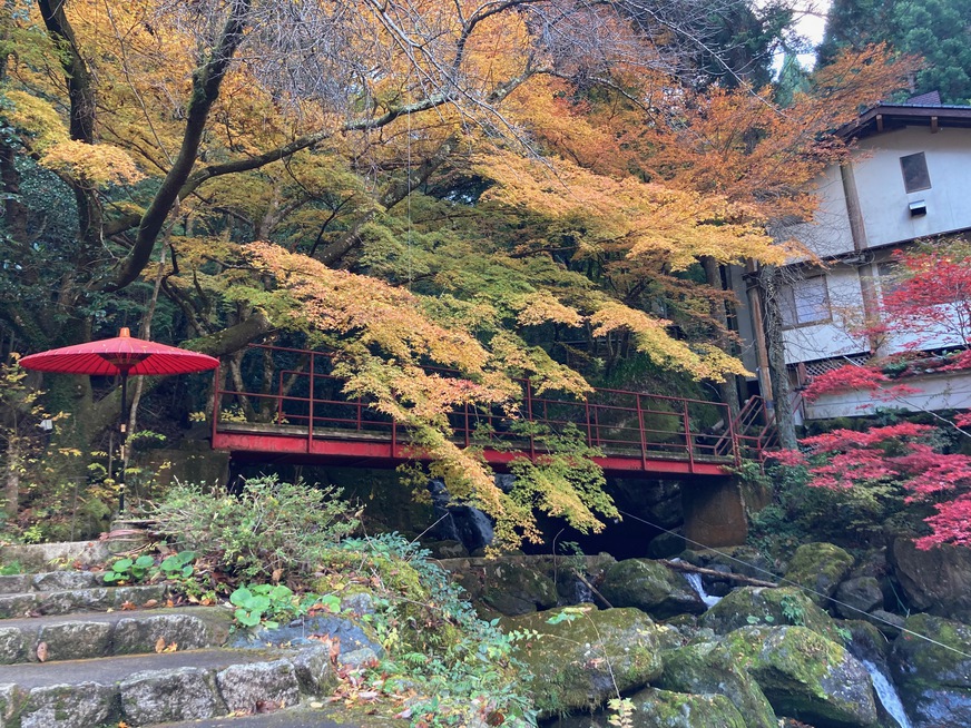 紅葉とお宿