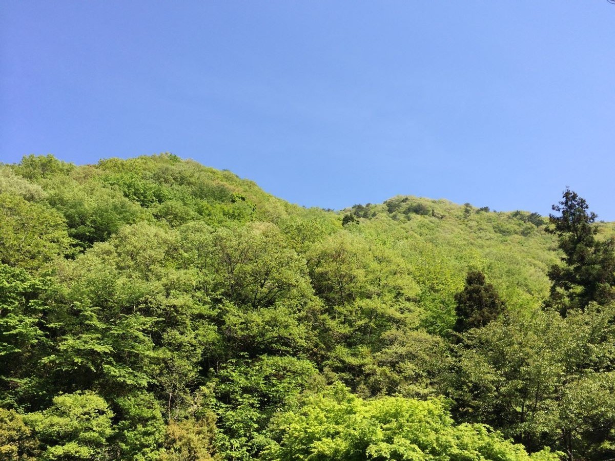 【ホタル観賞案内付きプラン】一日一組限定　いろりの宿　客室露天風呂付　一泊二食プラン