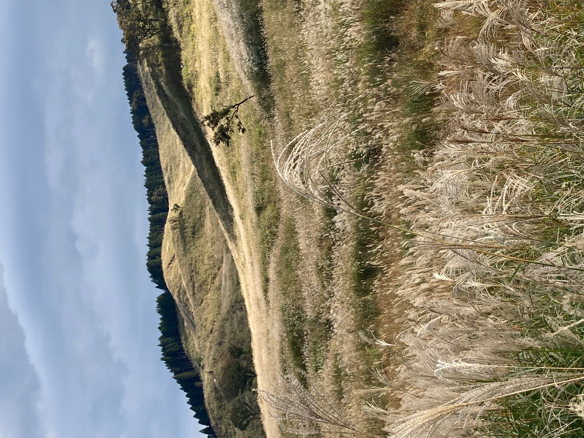 砥峰高原