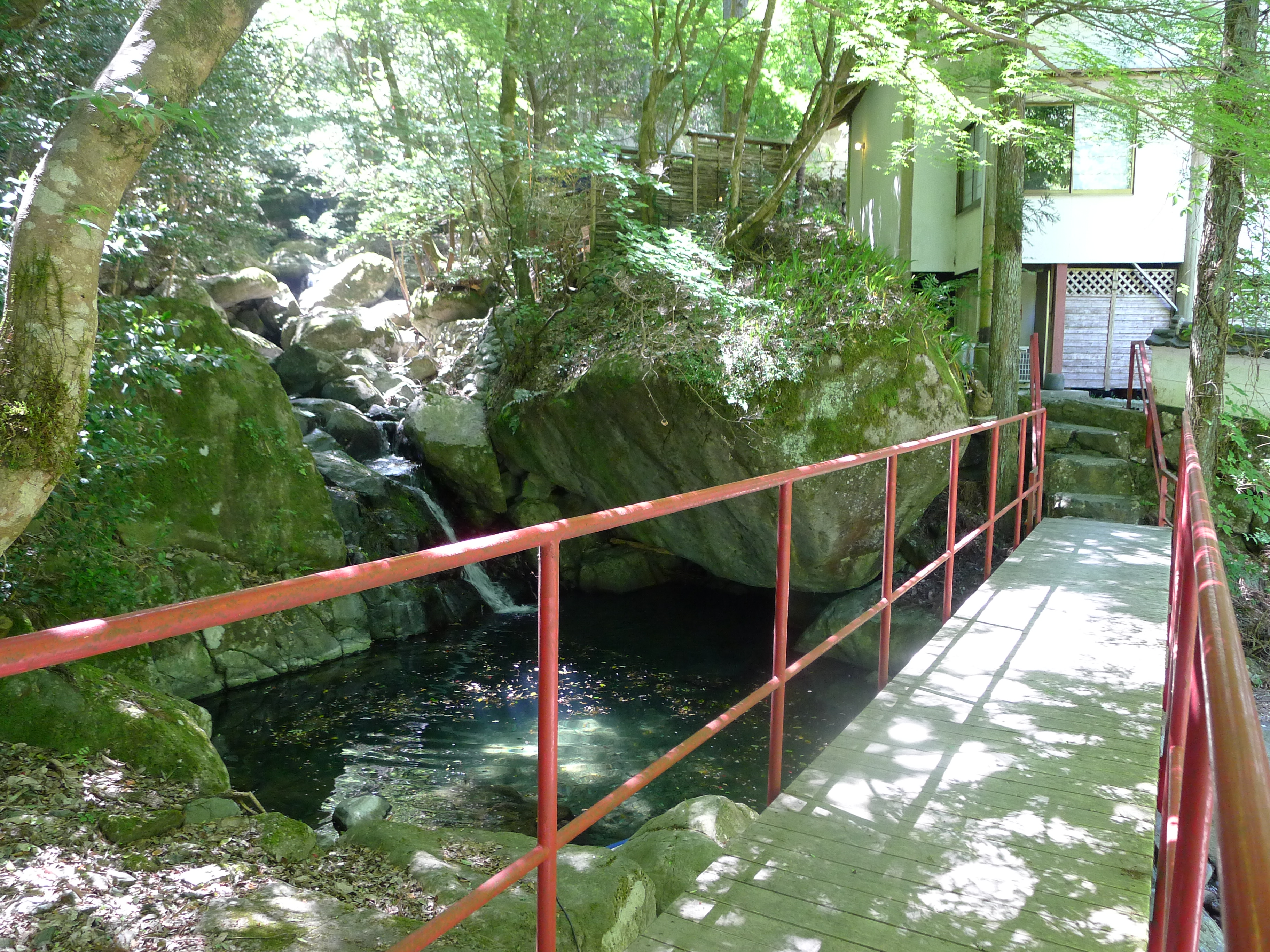 紅葉橋の新緑