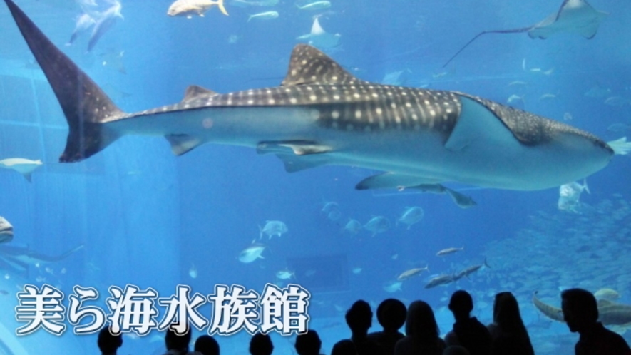 美ら海水族館