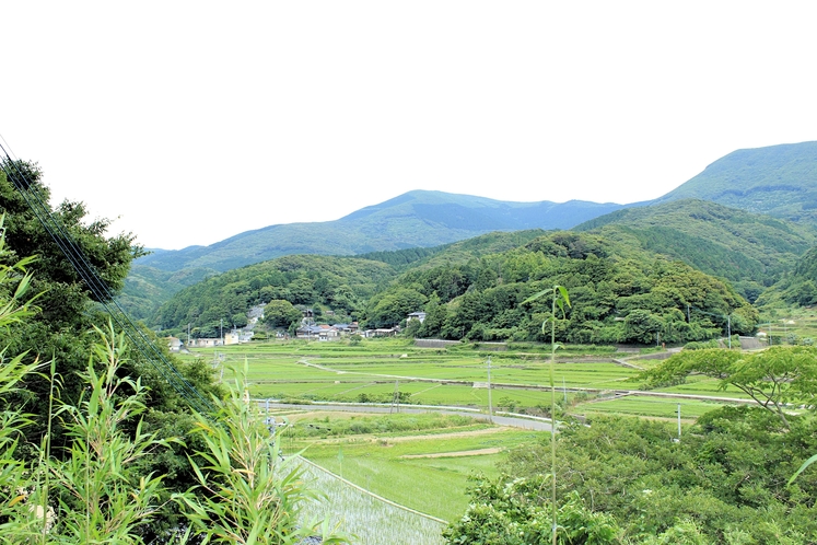 周囲の風景　のどかな田園風景が広がります