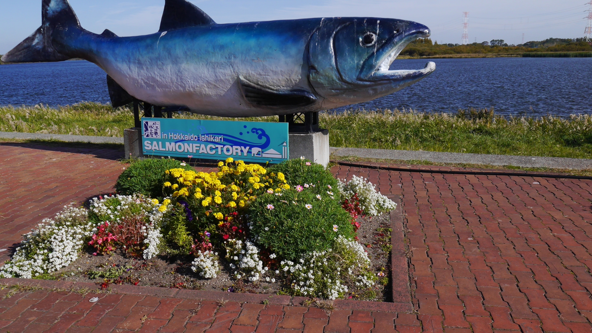 【当館から車で15分】石狩市名産の新鮮な鮭を直売している「サーモンファクトリー」