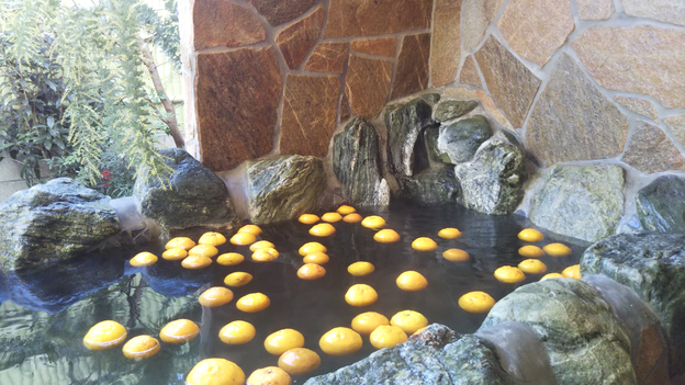 【年末年始スペシャル】一泊二食付特別プラン