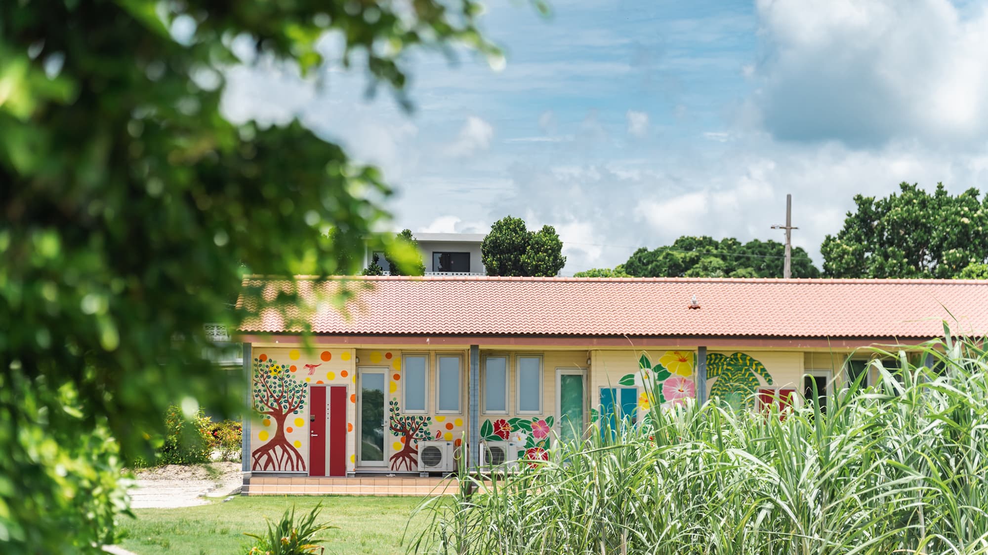 自然あふれ、緑がいっぱい