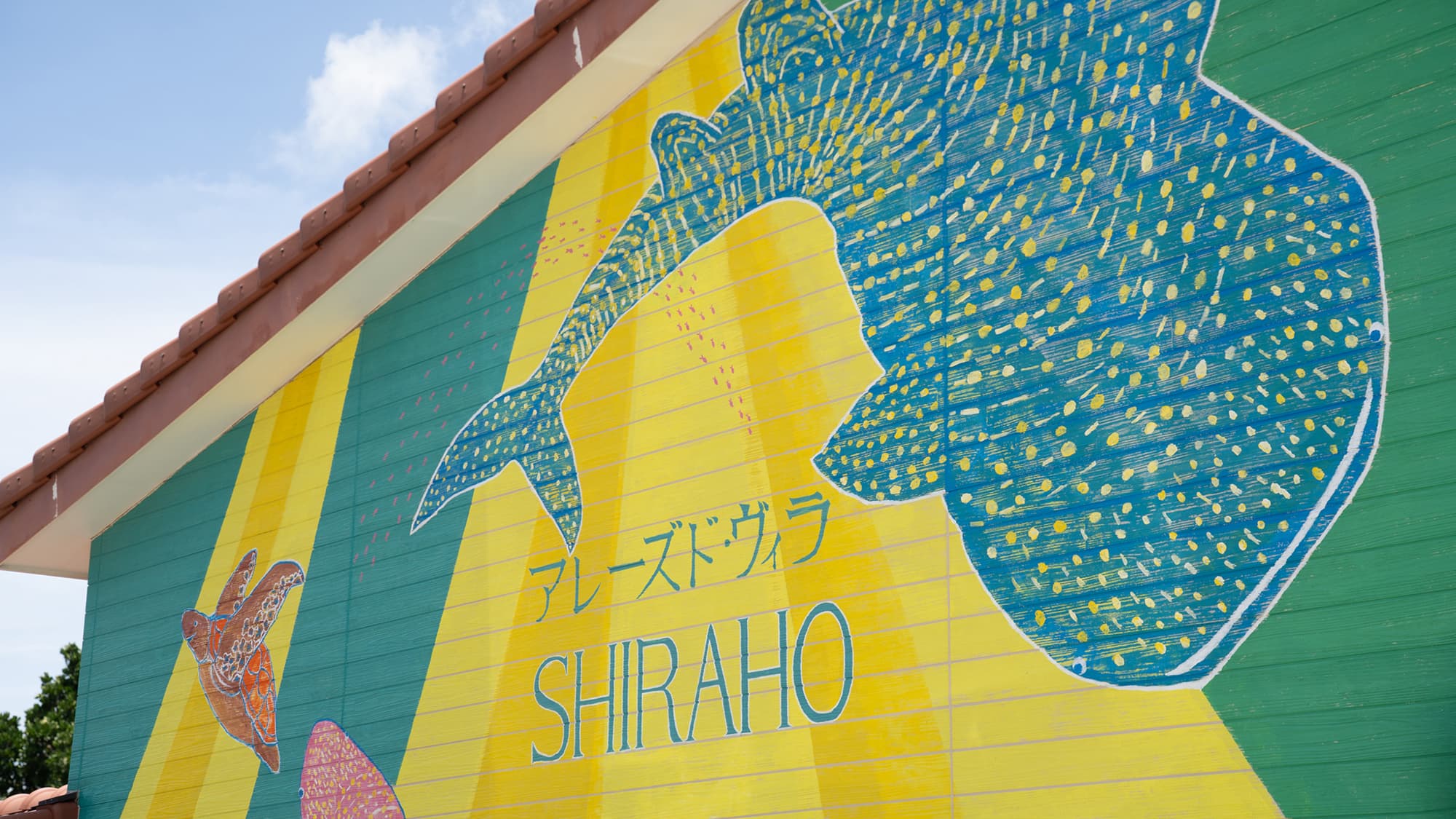 ジンベイザメがお出迎え