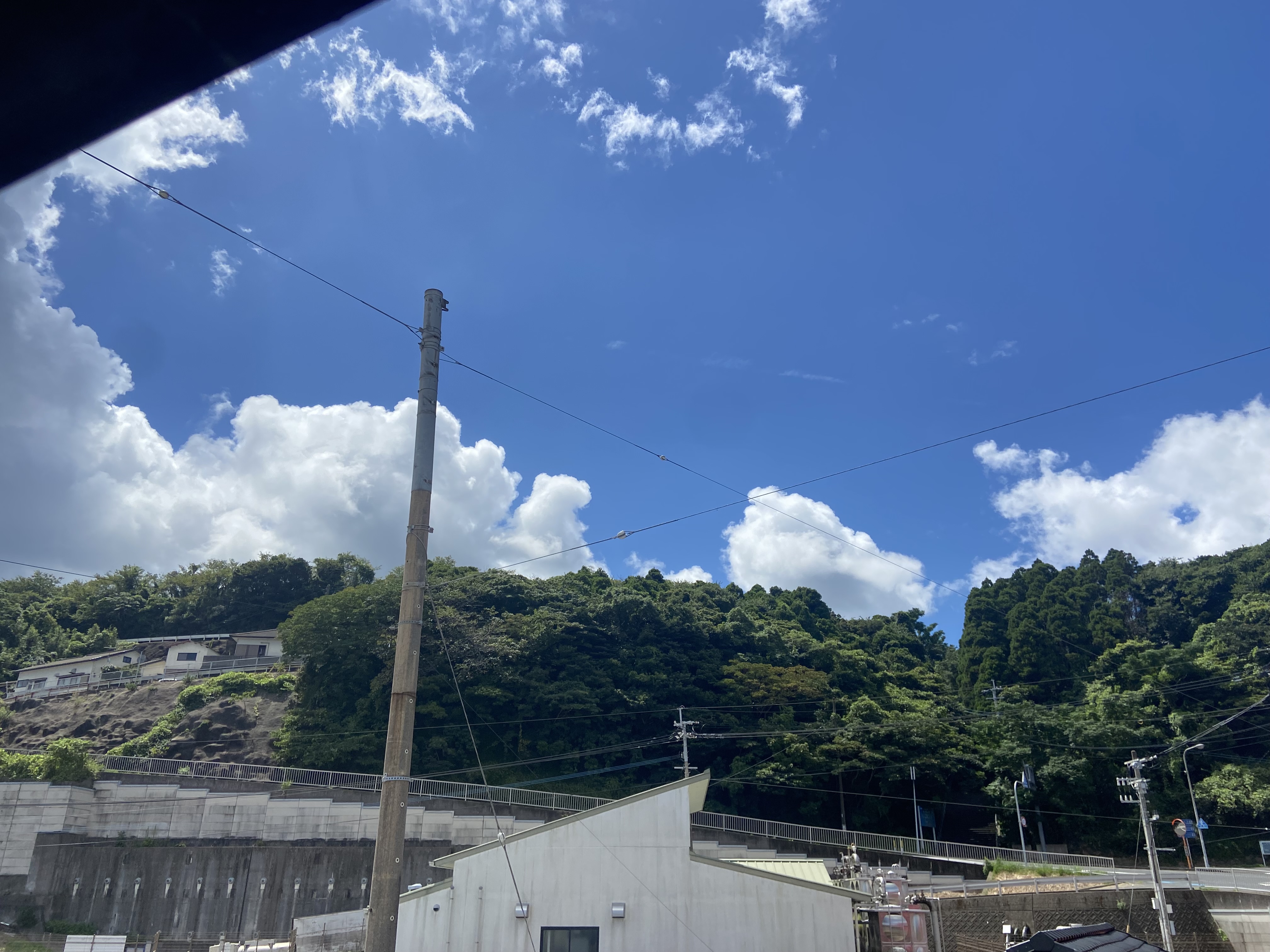 ・和室A　窓の外はきれいな空気の自然