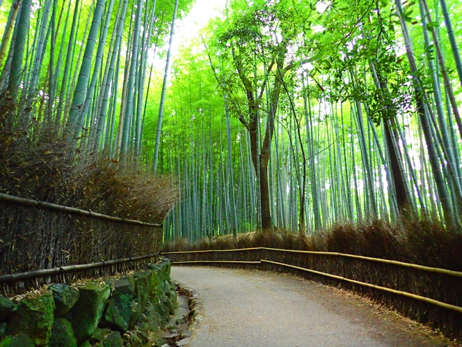 【嵐山　竹林の小径】■車で１３分　■バス（乗り換えなし）１８分　■徒歩４０分　