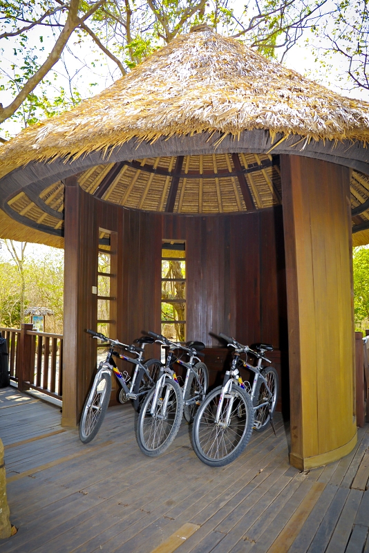 アクティビティ：自転車、マウンテンバイク