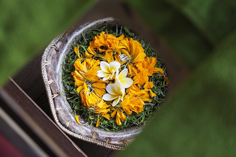 マングローブスパ