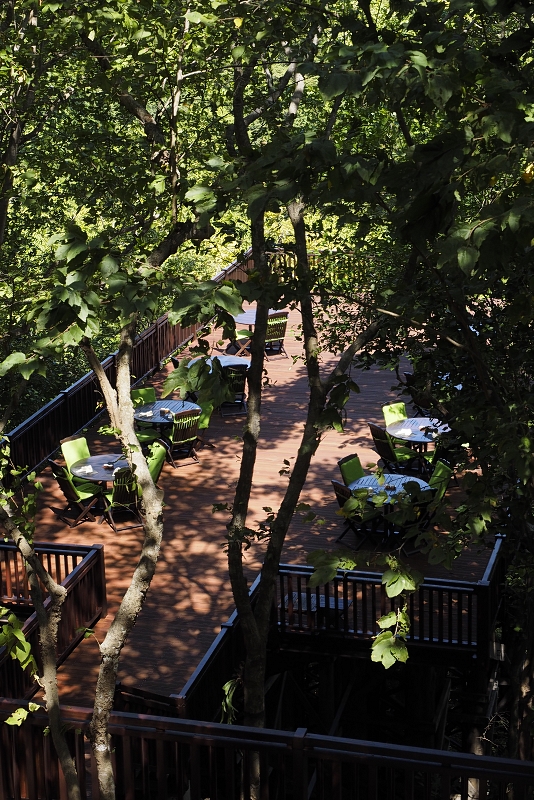 レストラン：バリ　タワー