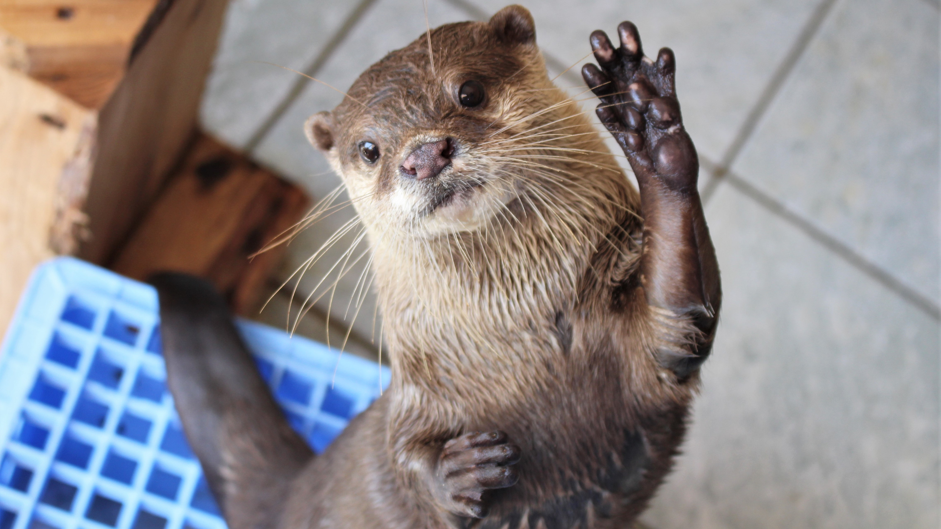 下田海中水族館