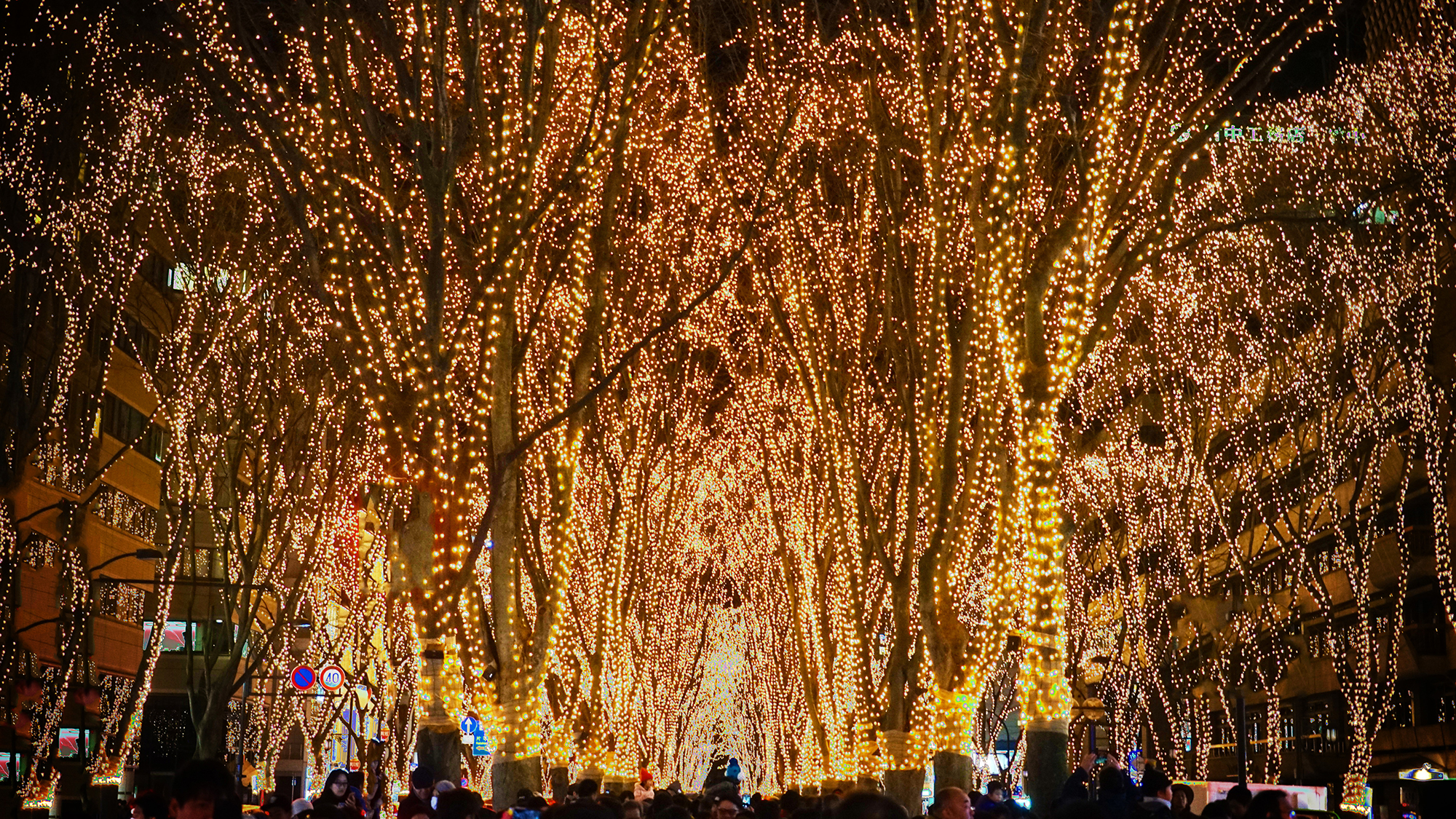 仙台光のページェント　開催時期：毎年12月上旬～31日