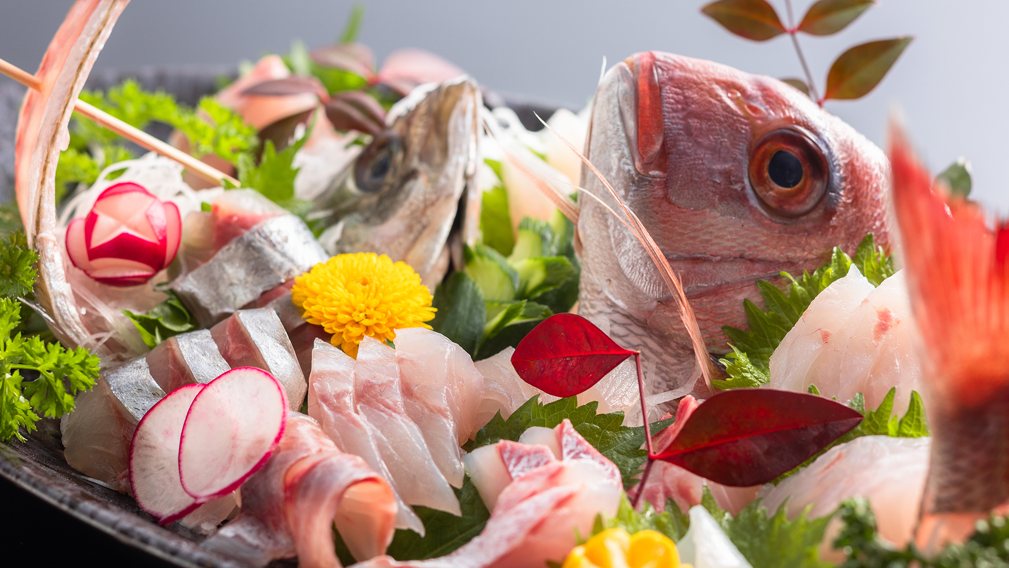 漁師ならではの目利きで選ぶ鮮魚をご用意しております。