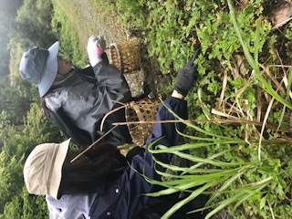 群馬県みなかみ町で天然の山菜狩り体験