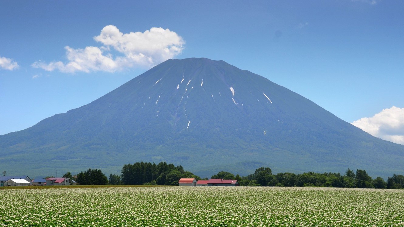 じゃがいも畑と羊蹄山