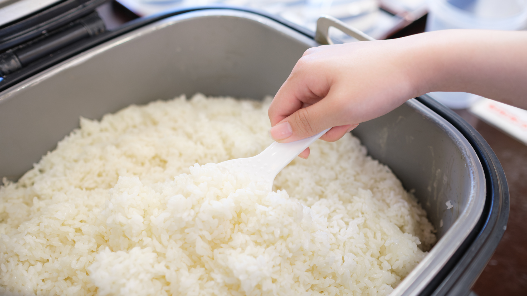 和洋中の手作りバイキング料理