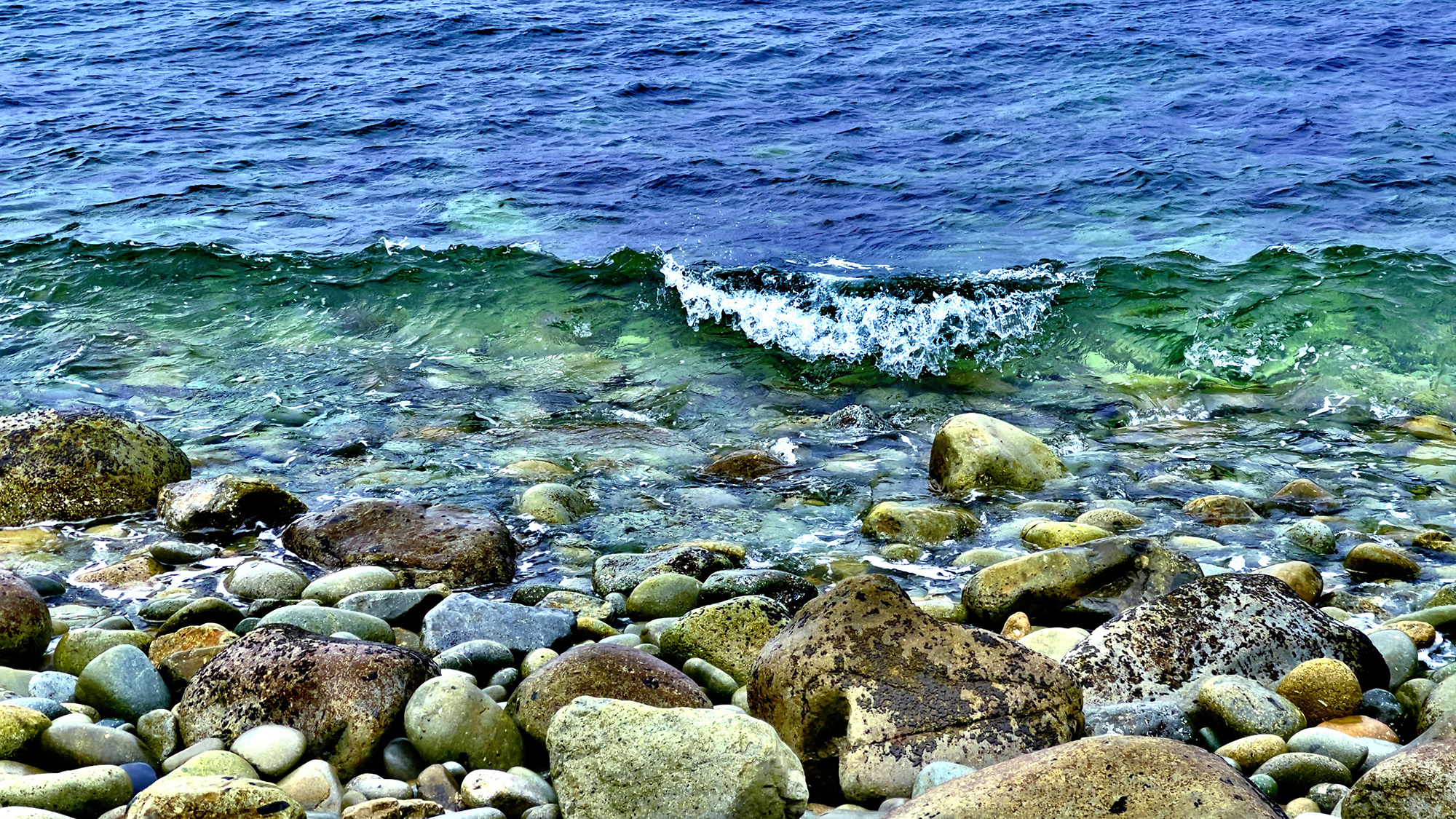 ホテル周辺の海